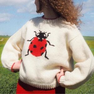 Women's Oversized Sweater Whimsy Twee Funky Ladybug Print Whimsical Y2K